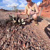 Review photo of Arch Rock Campground — Valley of Fire State Park by megan , October 23, 2025