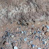 Review photo of Arch Rock Campground — Valley of Fire State Park by megan , October 23, 2025