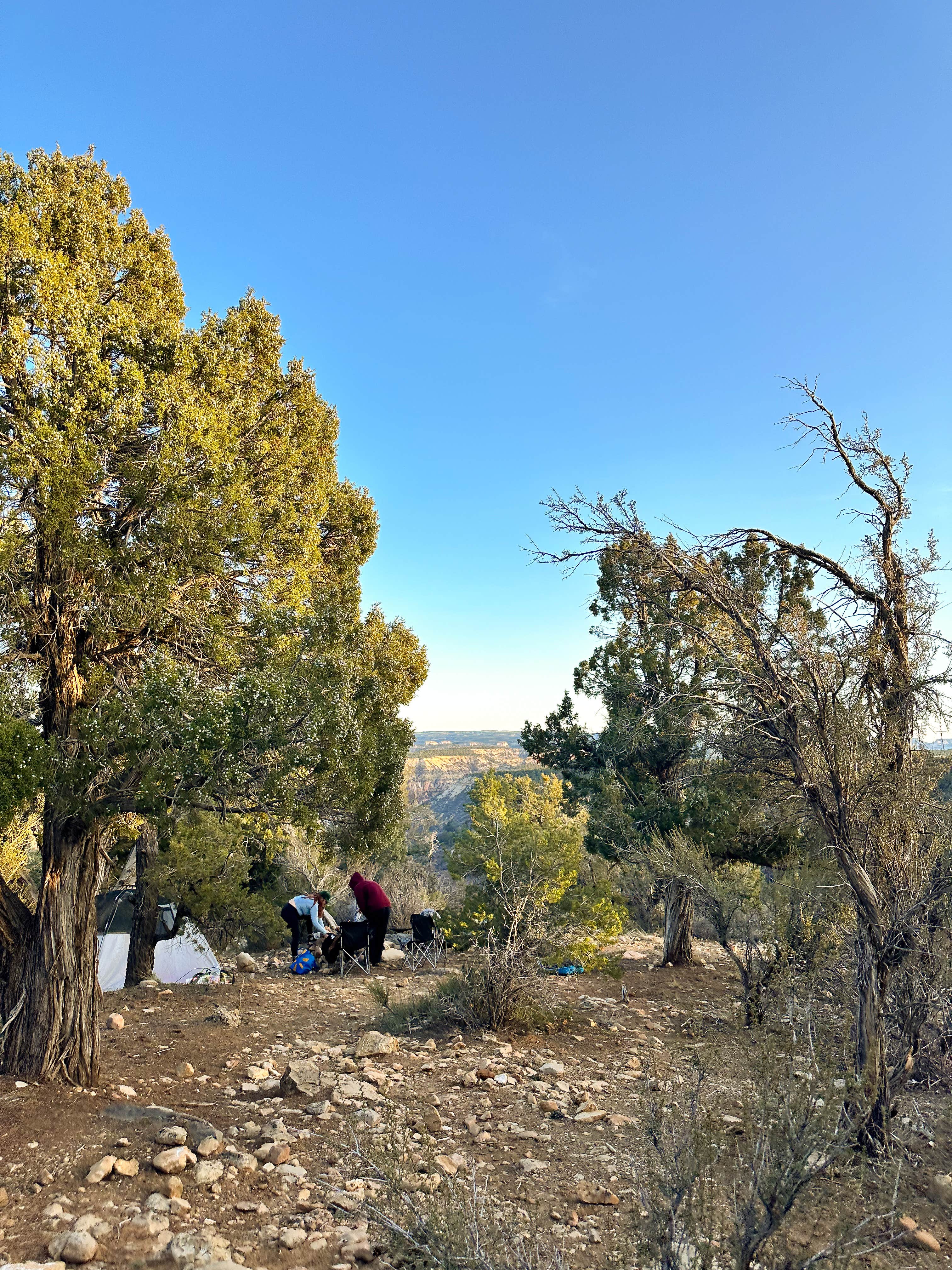 Camper submitted image from Archers Overlook East Zion - 5