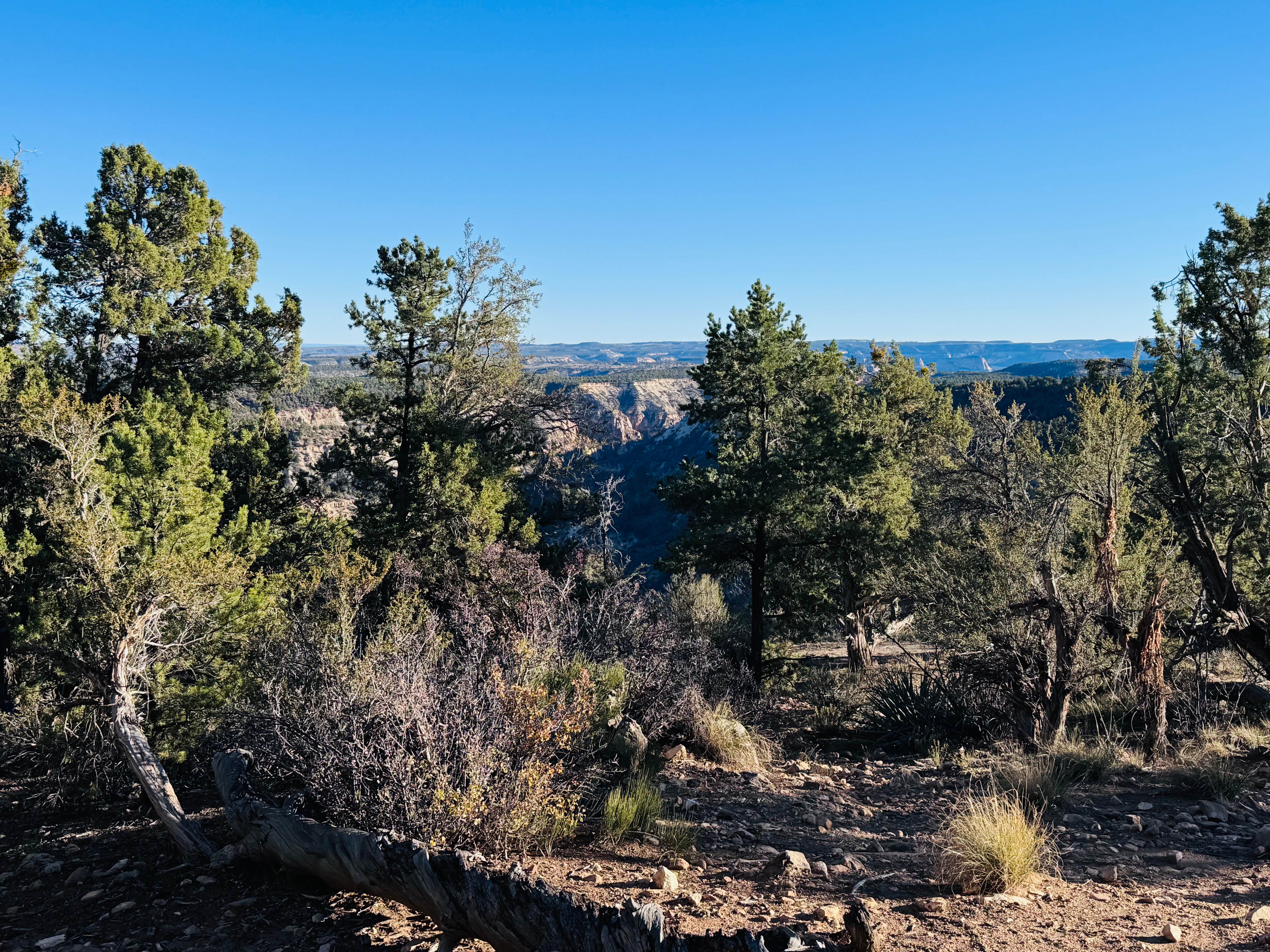 Camper-submitted photo at Archers Overlook East Zion near Orderville, UT