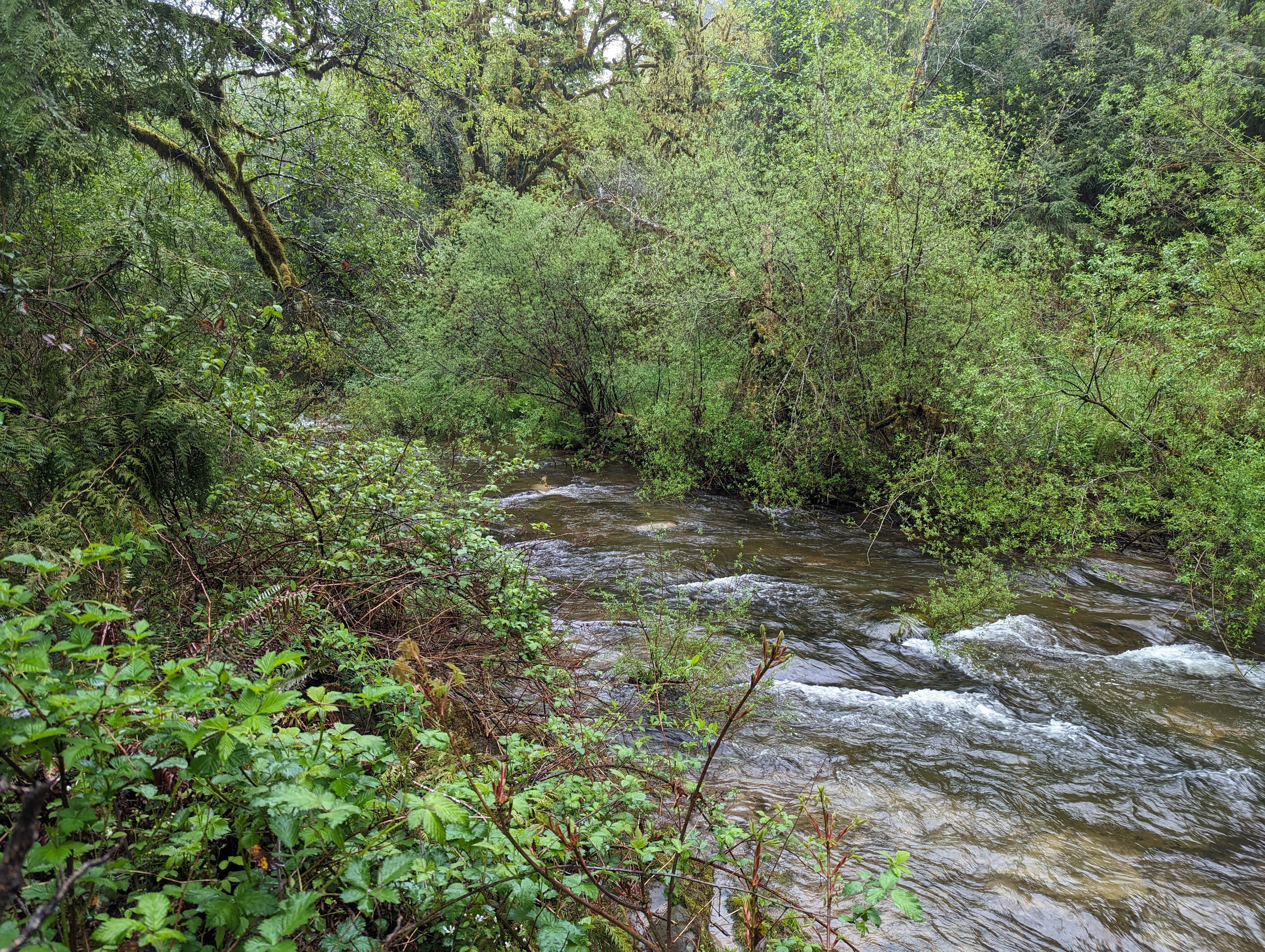 Camper submitted image from Archie Knowles Campground - 5