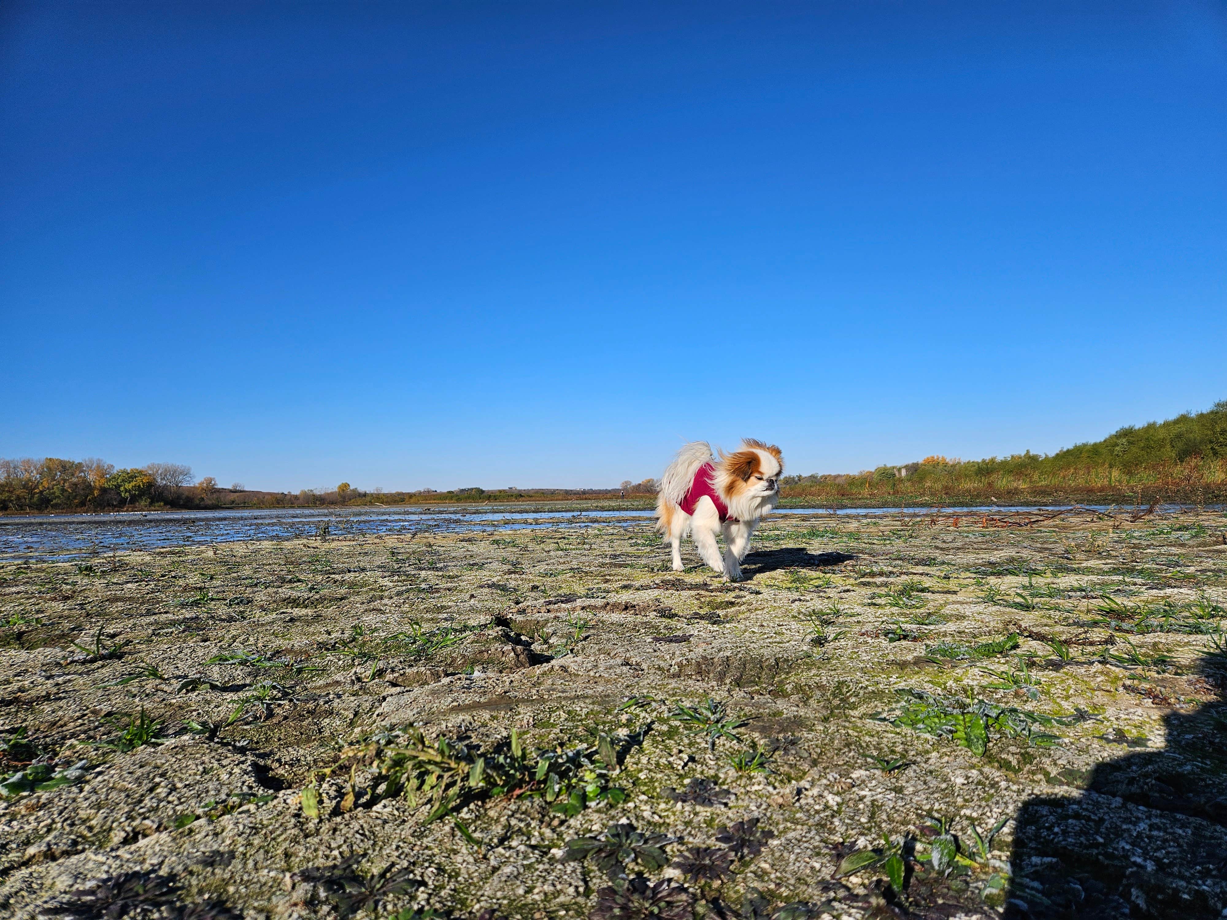 Camper-submitted photo at Area Three Campground near Malcolm, NE