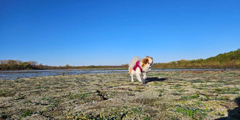 Camper submitted image from Area Three Campground