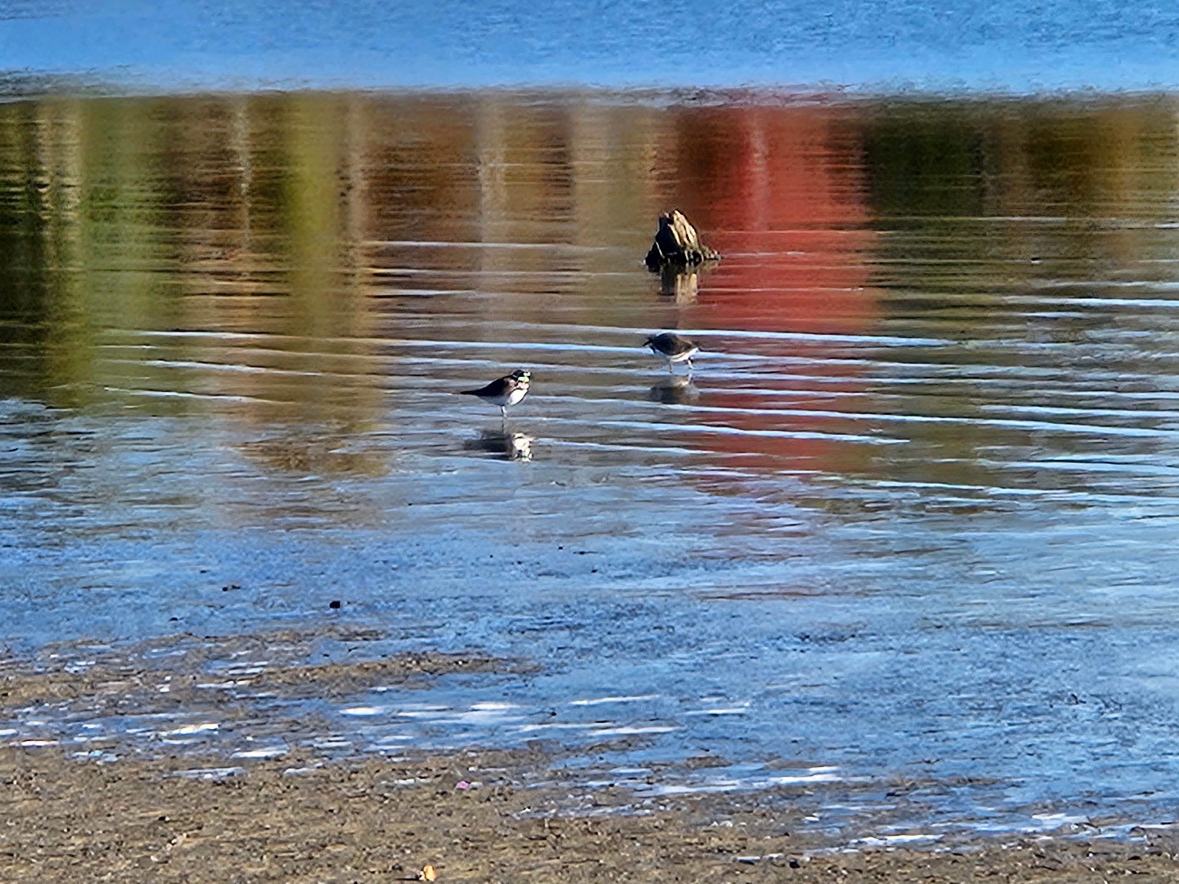Camper-submitted photo at Area Three Campground near Malcolm, NE