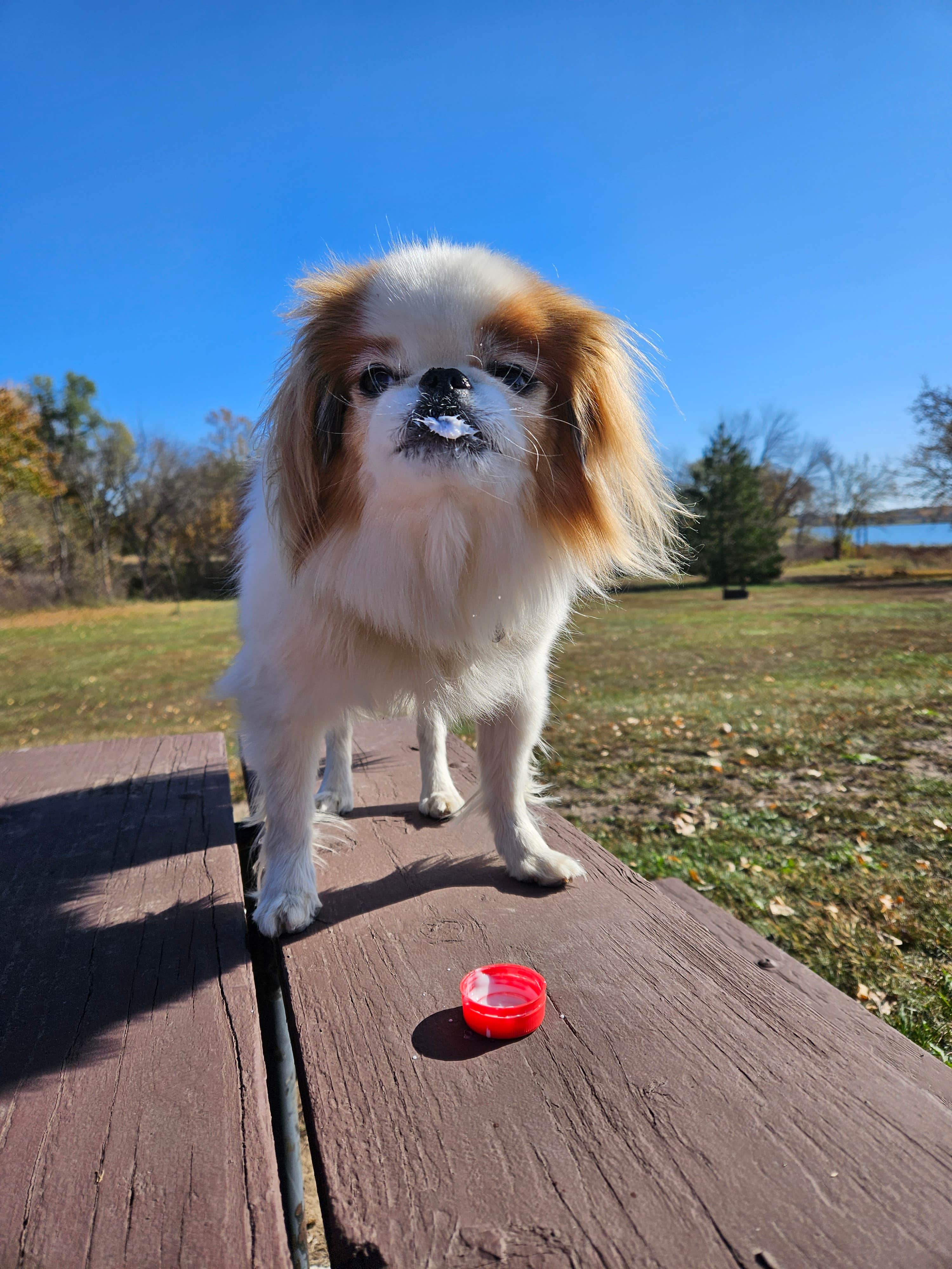 Camper-submitted photo at Area Three Campground near Malcolm, NE