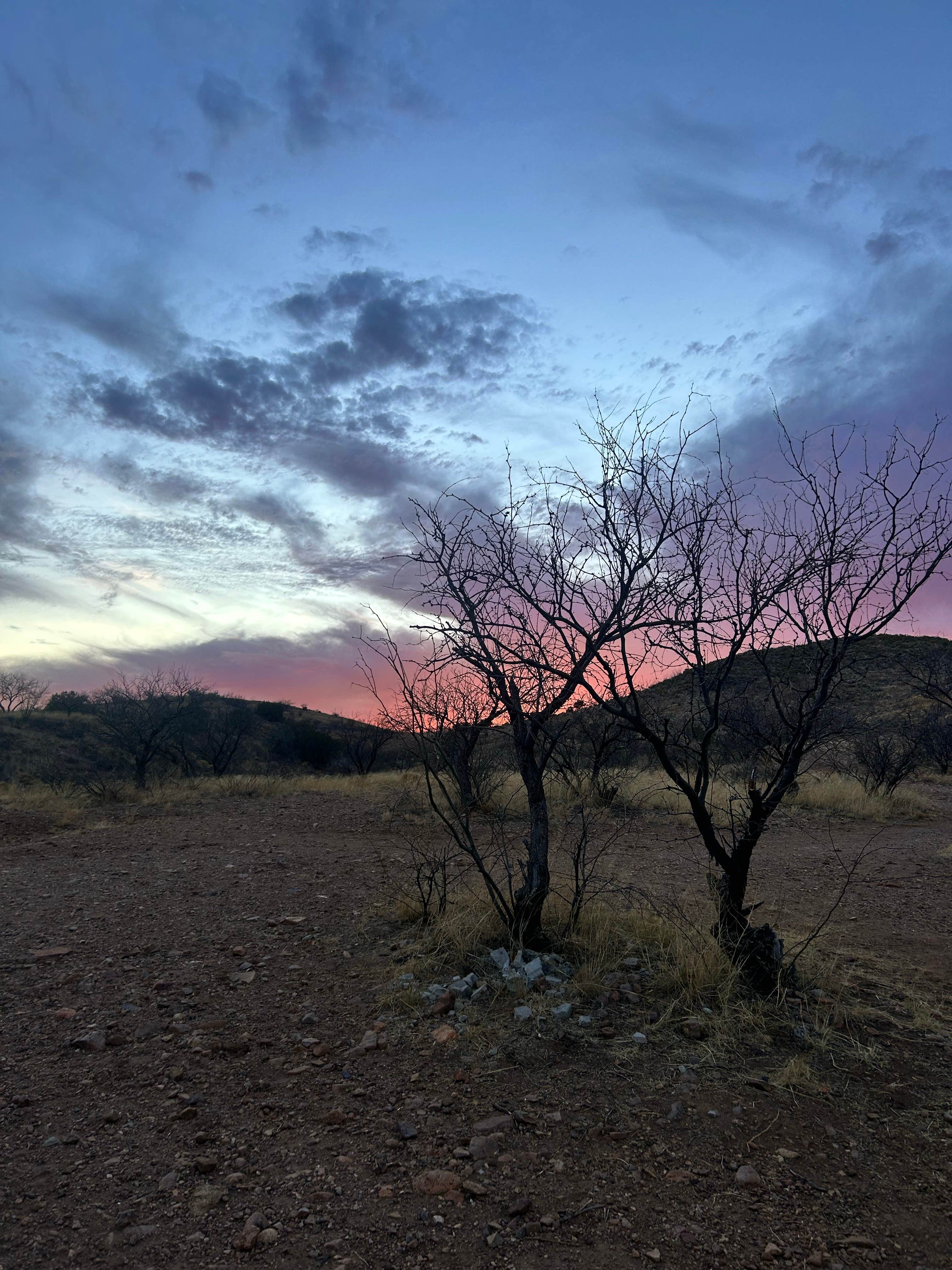 Camper-submitted photo at Arivaca Lake near Arivaca, AZ