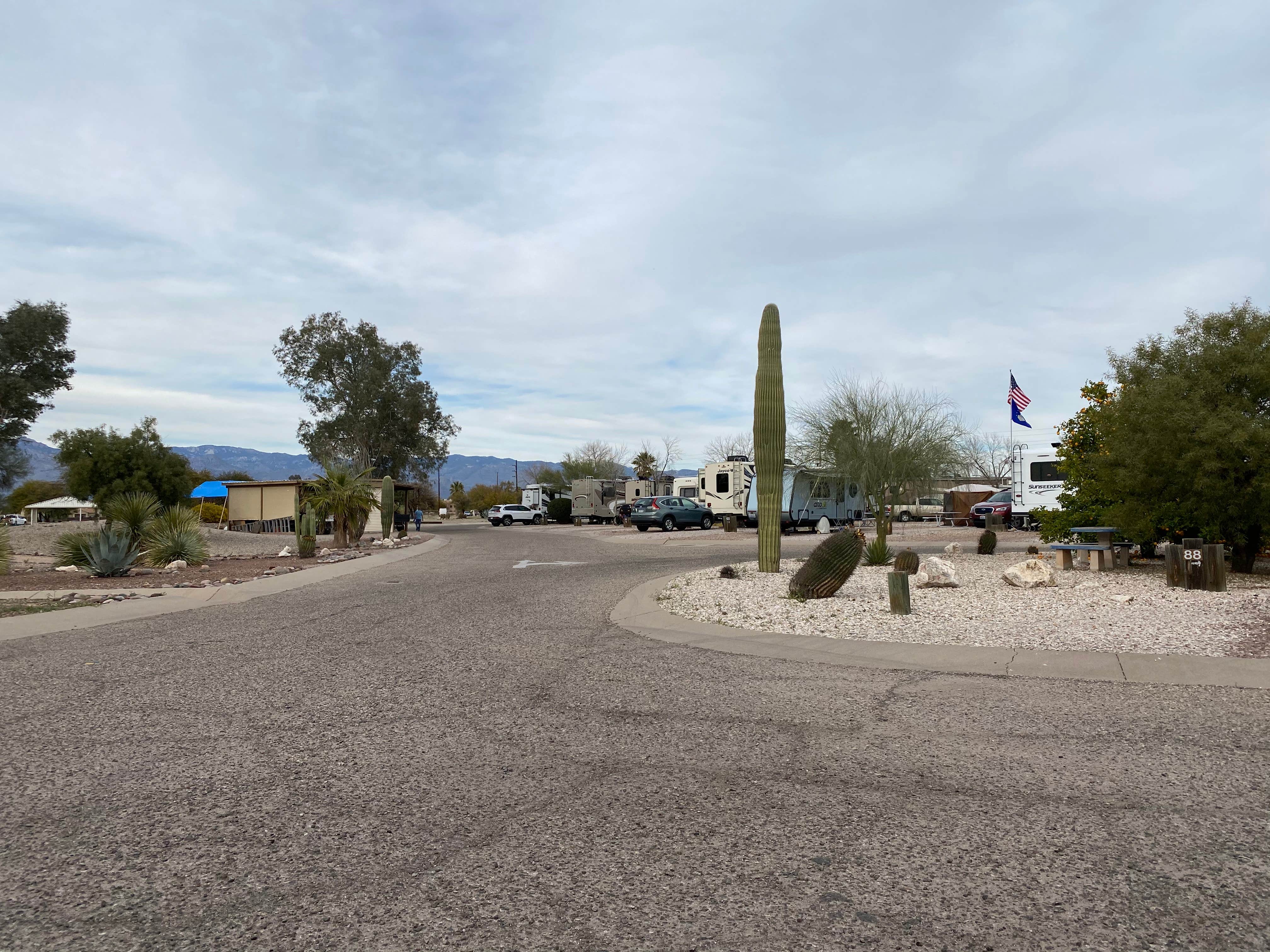 Camper-submitted photo at Davis Monthan AFB FamCamp- Boneyard Vista near Tucson, AZ