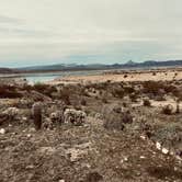 Review photo of Alamo Lake State Park Campground by Brett T., April 8, 2026