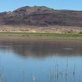 Review photo of Alamo Lake State Park Campground by Carol , June 24, 2026