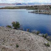 Review photo of Alamo Lake State Park Campground by Chad E., May 9, 2024
