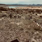 Review photo of Alamo Lake State Park Campground by Brett T., April 8, 2026