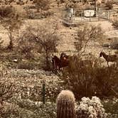 Review photo of Alamo Lake State Park Campground by Brett T., April 8, 2026