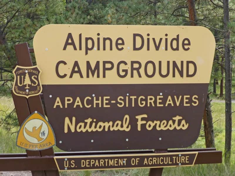 Camper-submitted photo at Alpine Divide Campground near Springerville, AZ