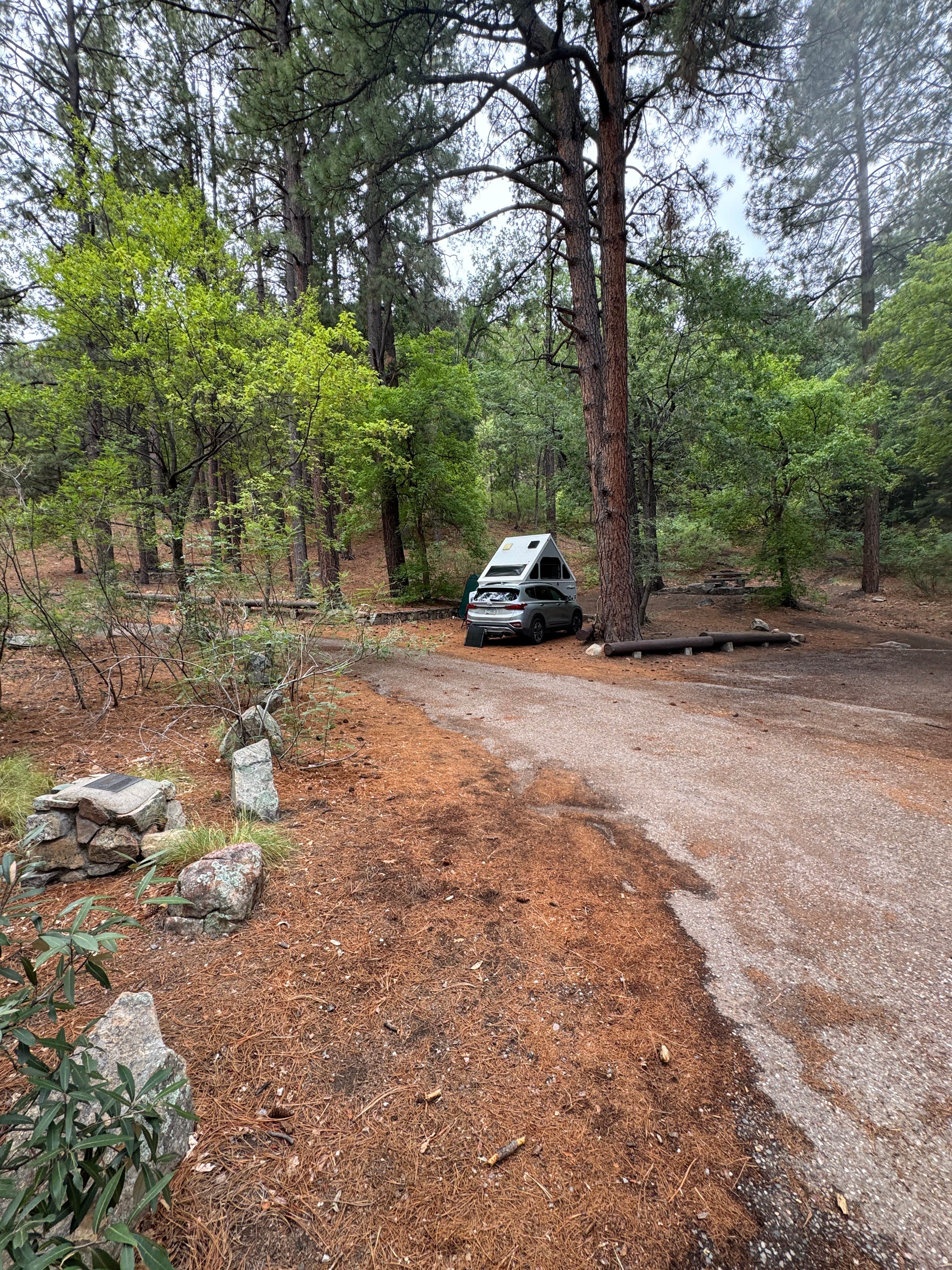 Camper-submitted photo at Arcadia Campground near Safford, AZ