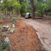 Review photo of Arcadia Campground by Holly H., August 20, 2025