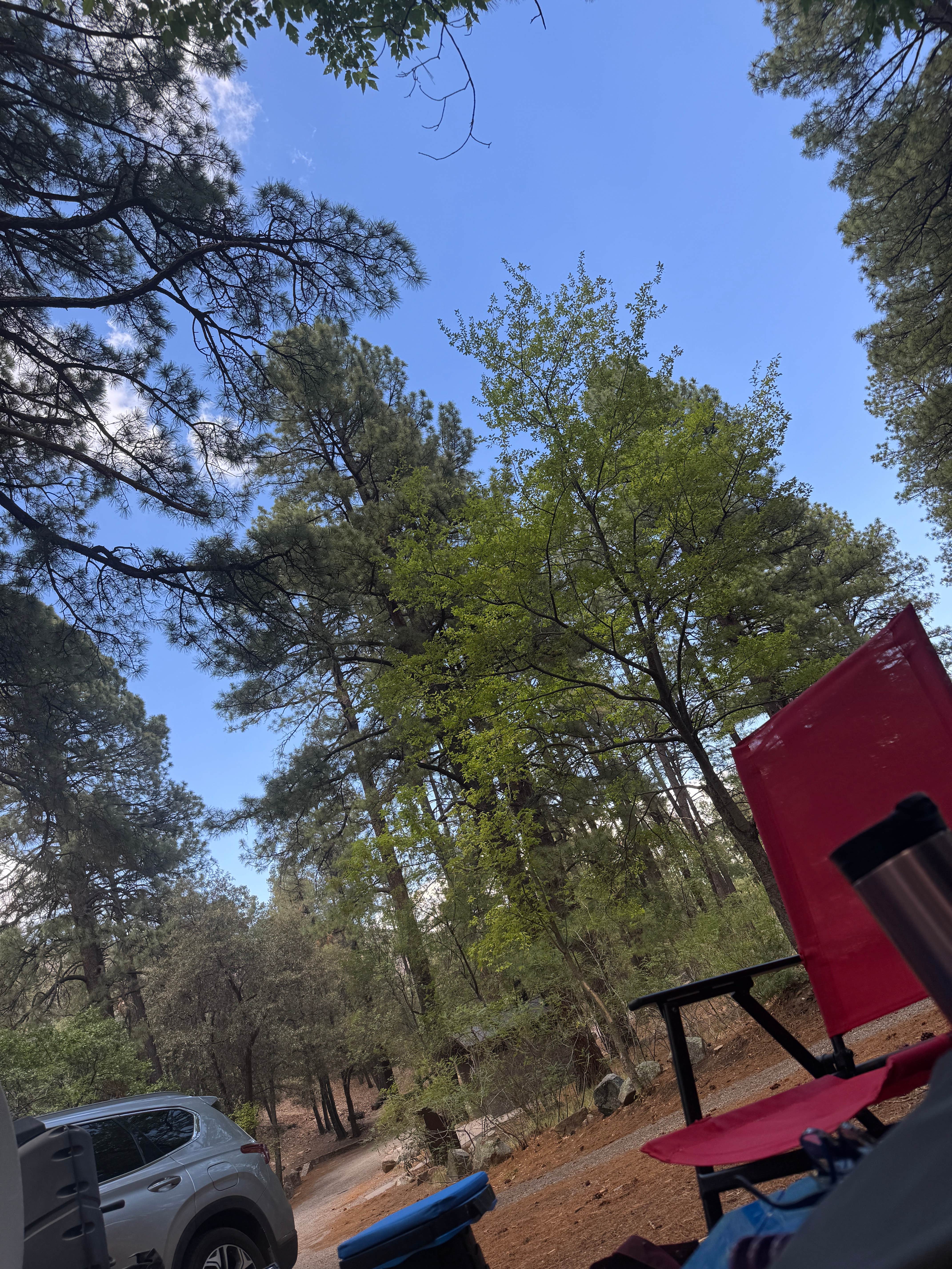 Camper-submitted photo at Arcadia Campground near Safford, AZ