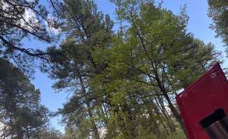 Holly H.'s photo at Arcadia Campground near Thatcher, AZ