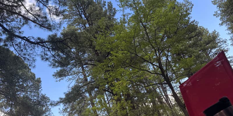 Camper submitted image from Arcadia Campground