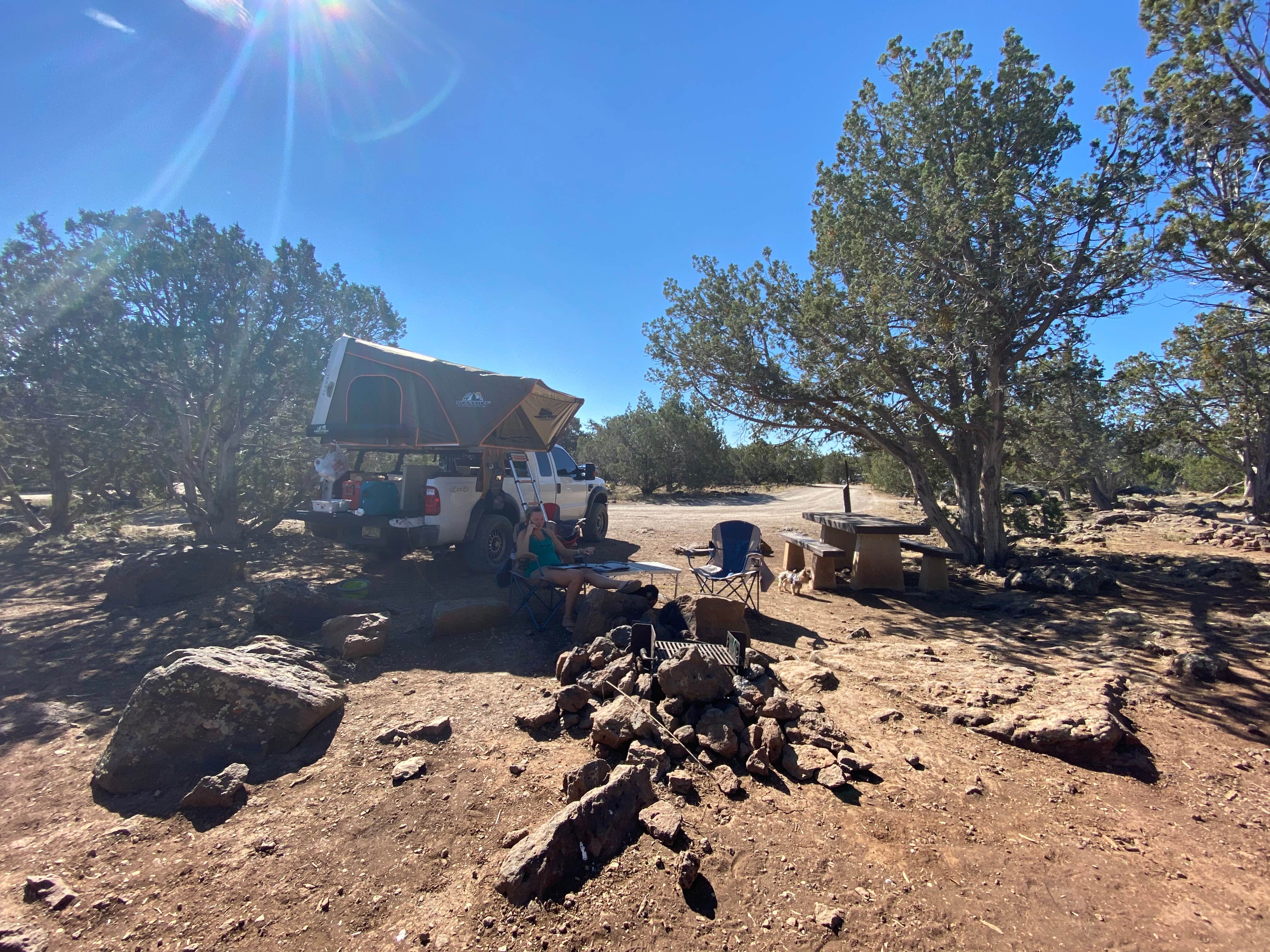 Beth G.'s photo of camping with pets at Ashurst Lake — Coconino National Forest Recreation near Coconino National Forest