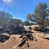 Review photo of Ashurst Lake — Coconino National Forest Recreation by Beth G., September 19, 2023