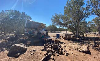 Beth G.'s photo of camping with pets at Ashurst Lake — Coconino National Forest Recreation near Mormon Lake, AZ