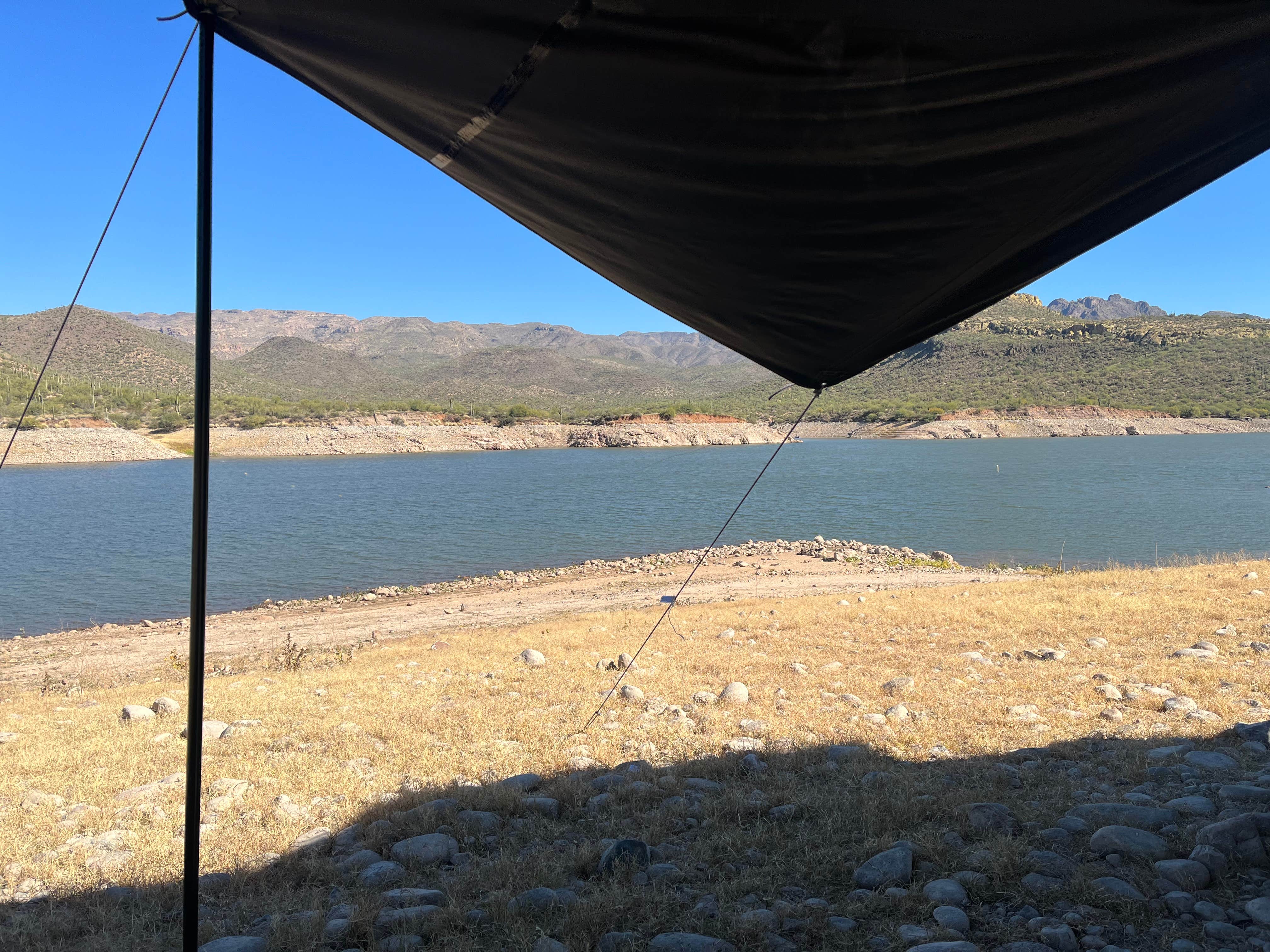 lindsey S.'s photo at Bartlett Flat near Rio Verde, AZ