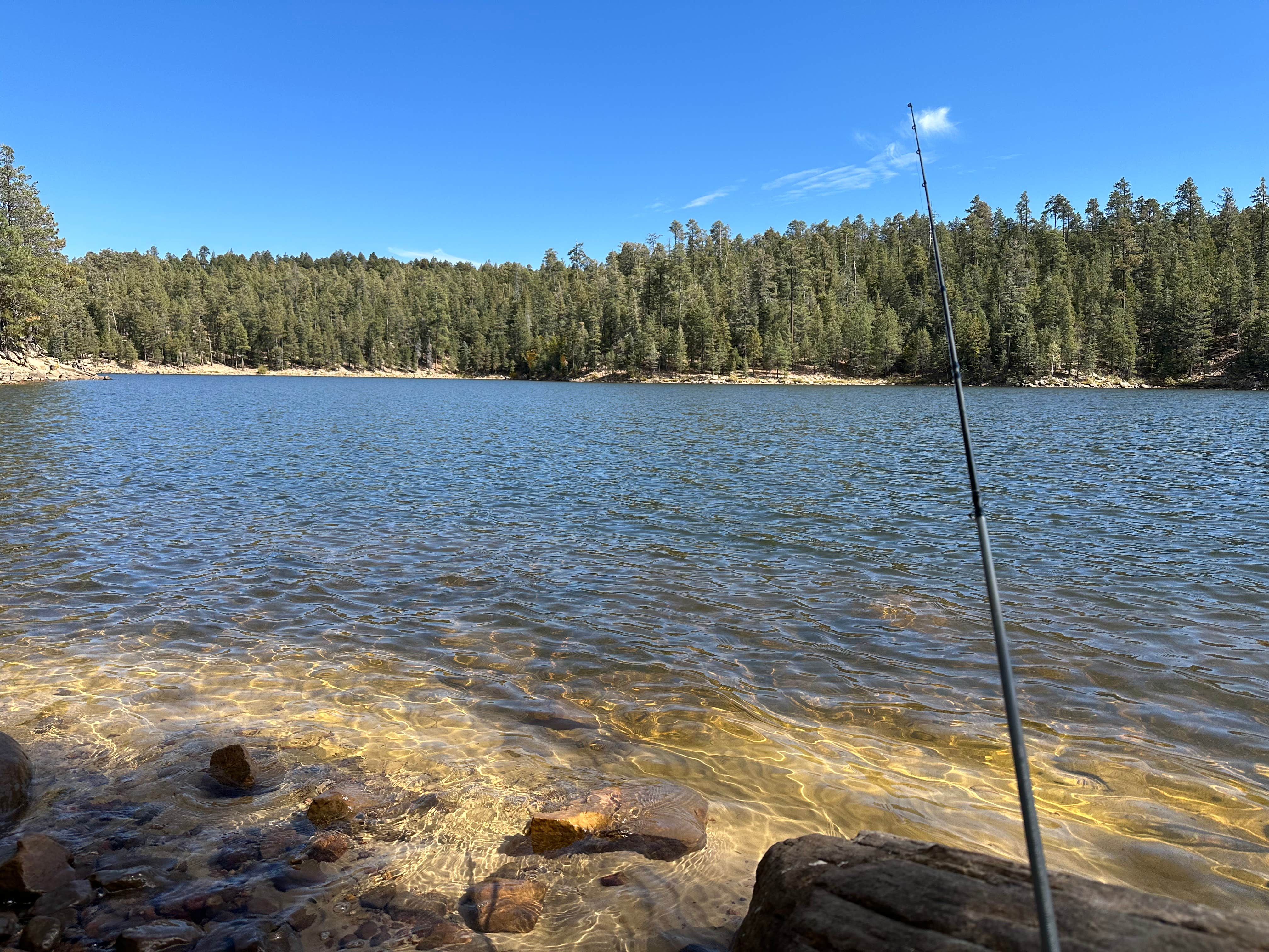Lex C.'s photo of a dispersed camping area at Bear Canyon Lake and Camping Area near Kohls Ranch, AZ
