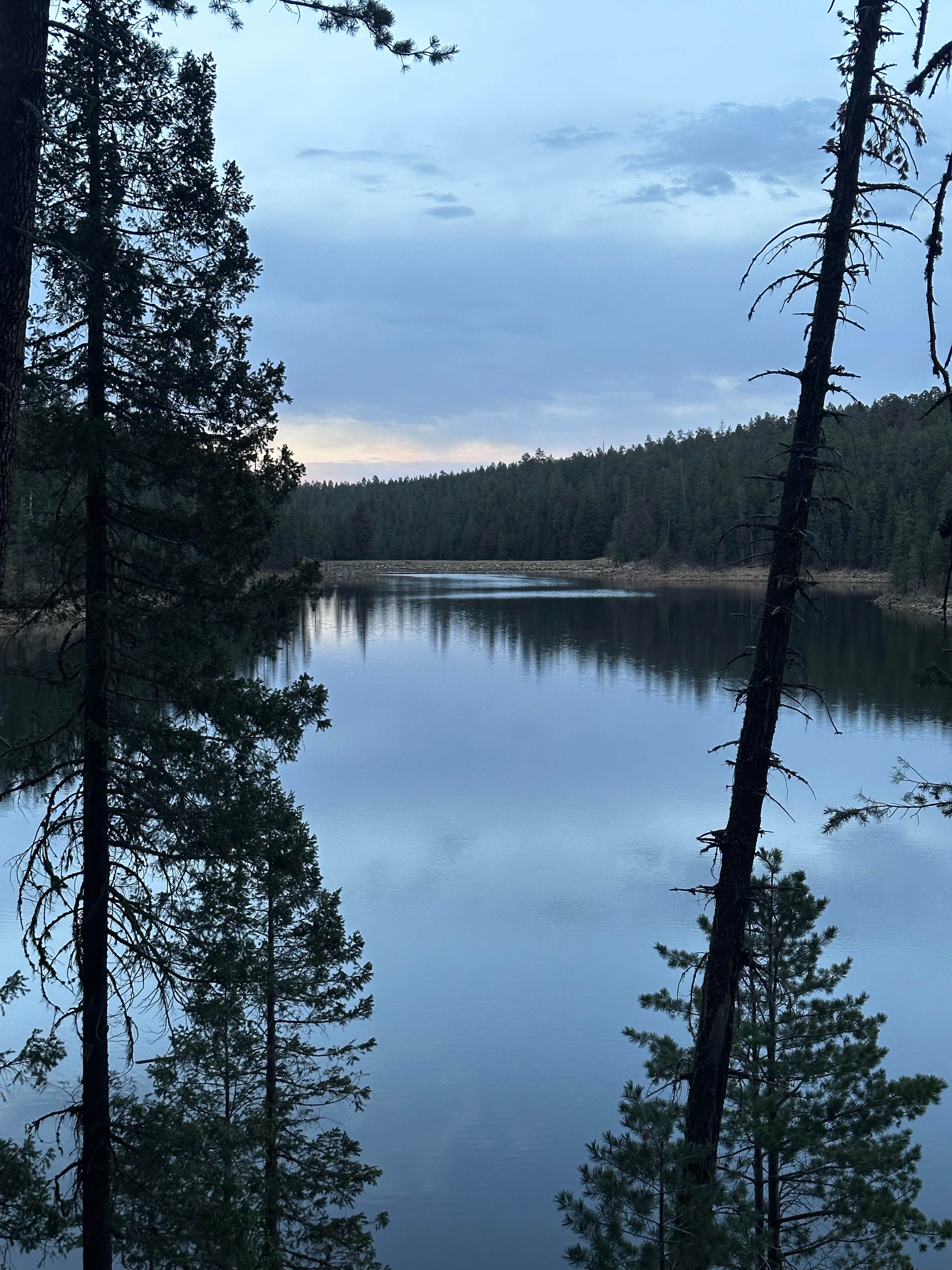 Dave's photo of a dispersed camping area at Bear Canyon Lake and Camping Area near Heber-Overgaard, AZ