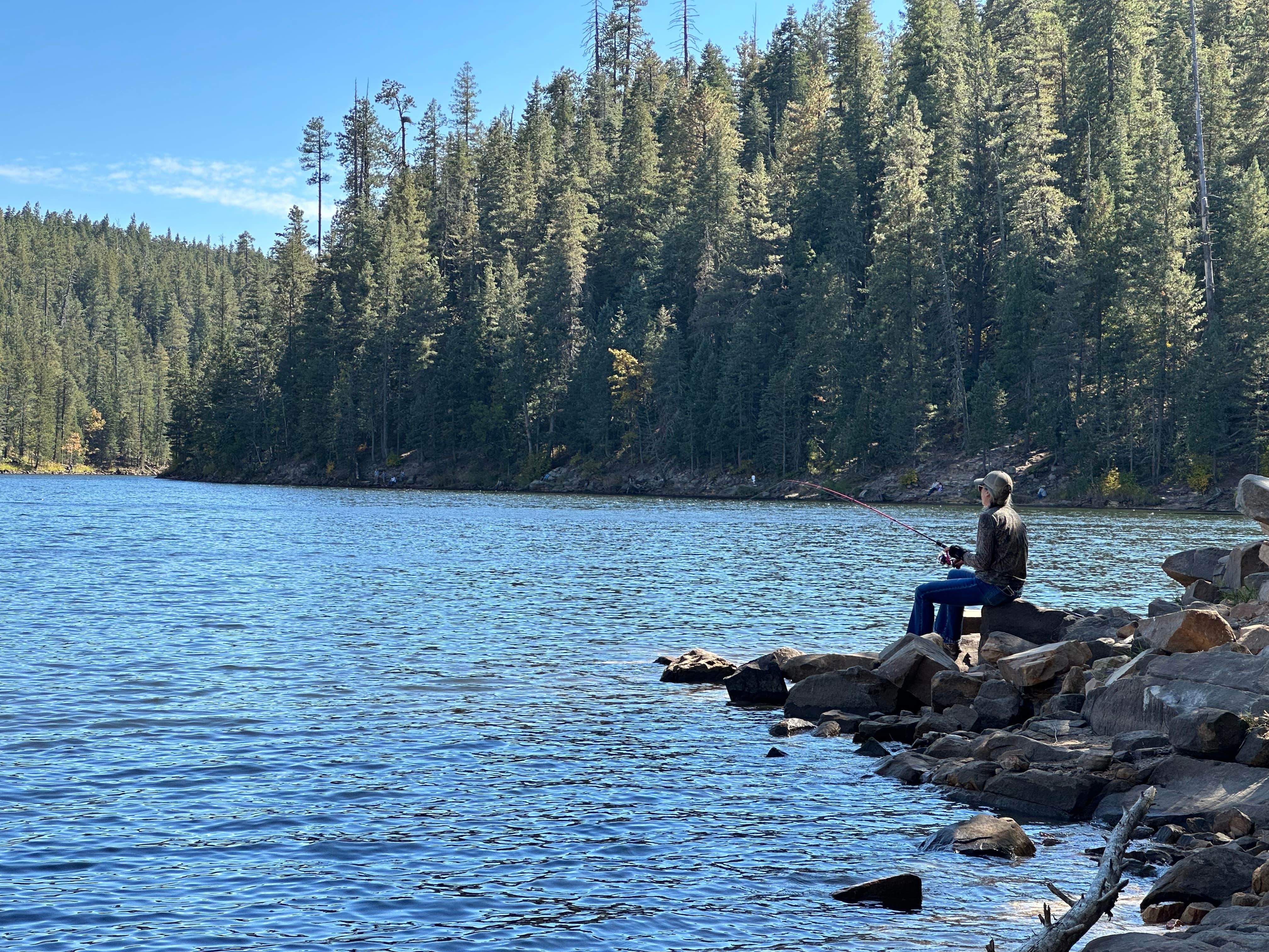 Lex C.'s photo of a dispersed camping area at Bear Canyon Lake and Camping Area near Sun Valley, AZ