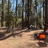 Review photo of Black Canyon Rim Campground (apache-sitgreaves National Forest, Az) by Heather , October 11, 2024