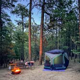 Review photo of Black Canyon Rim Campground (apache-sitgreaves National Forest, Az) by Yoseline C., May 28, 2026