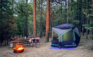 Yoseline C.'s photo at Black Canyon Rim Campground (apache-sitgreaves National Forest, Az) near Cibecue, AZ