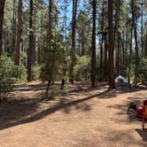 Review photo of Black Canyon Rim Campground (apache-sitgreaves National Forest, Az) by Heather , October 11, 2024