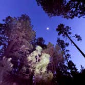 Review photo of Black Canyon Rim Campground (apache-sitgreaves National Forest, Az) by Yoseline C., May 28, 2026