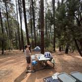 Review photo of Black Canyon Rim Campground (apache-sitgreaves National Forest, Az) by Heather , October 11, 2024