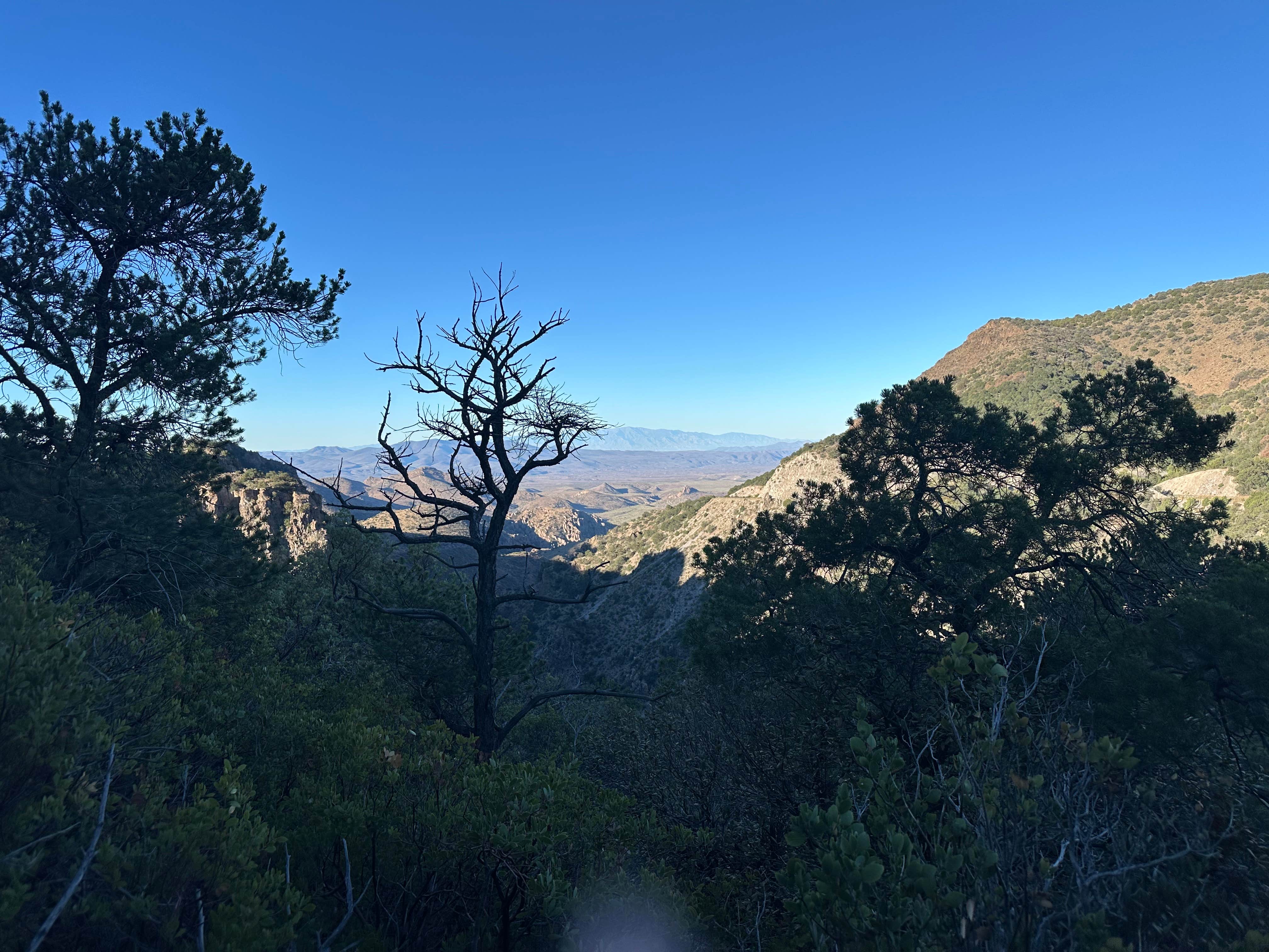 Camper-submitted photo at Black Jack Campground near Morenci, AZ