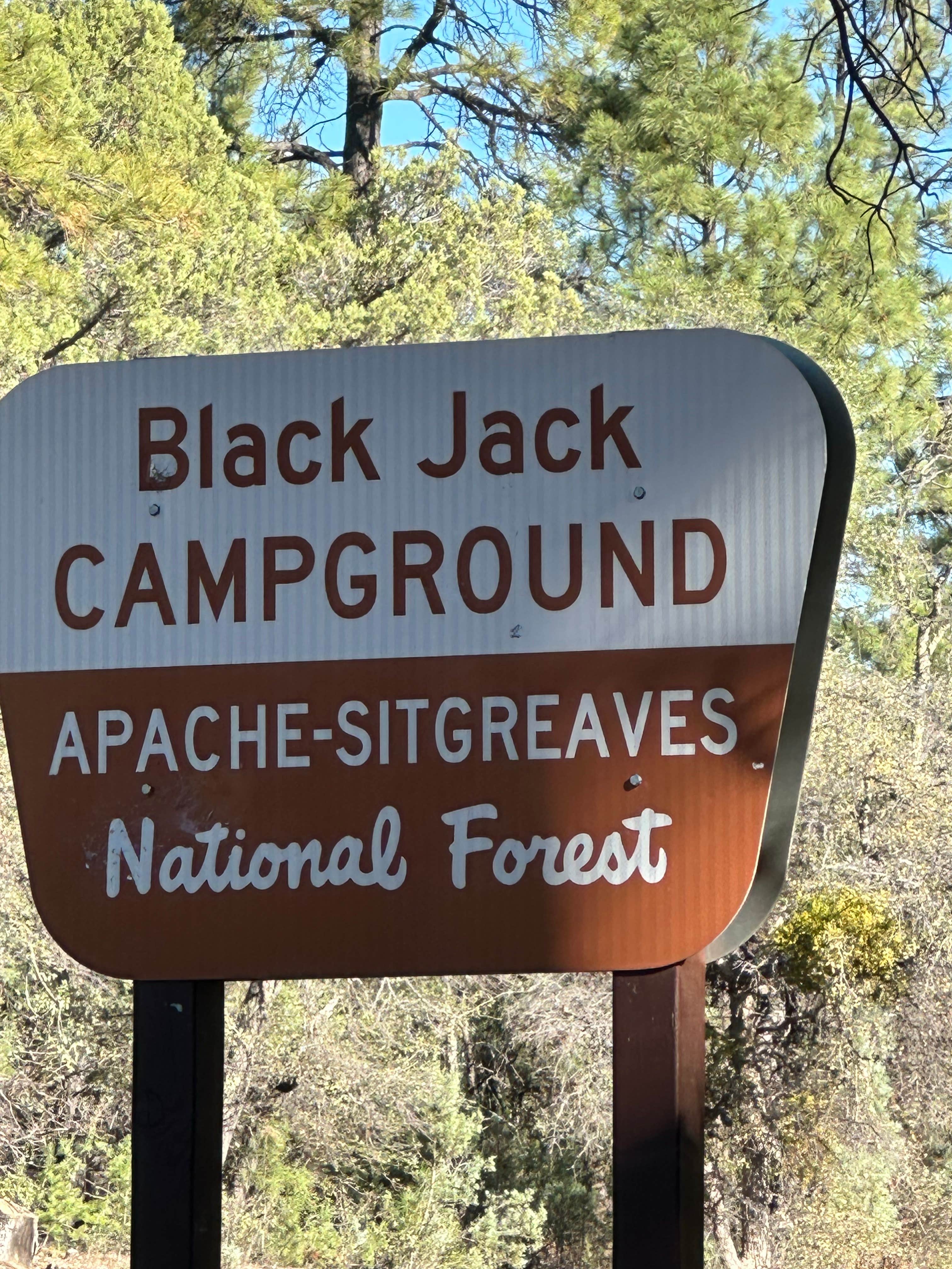 Camper-submitted photo at Black Jack Campground near Morenci, AZ