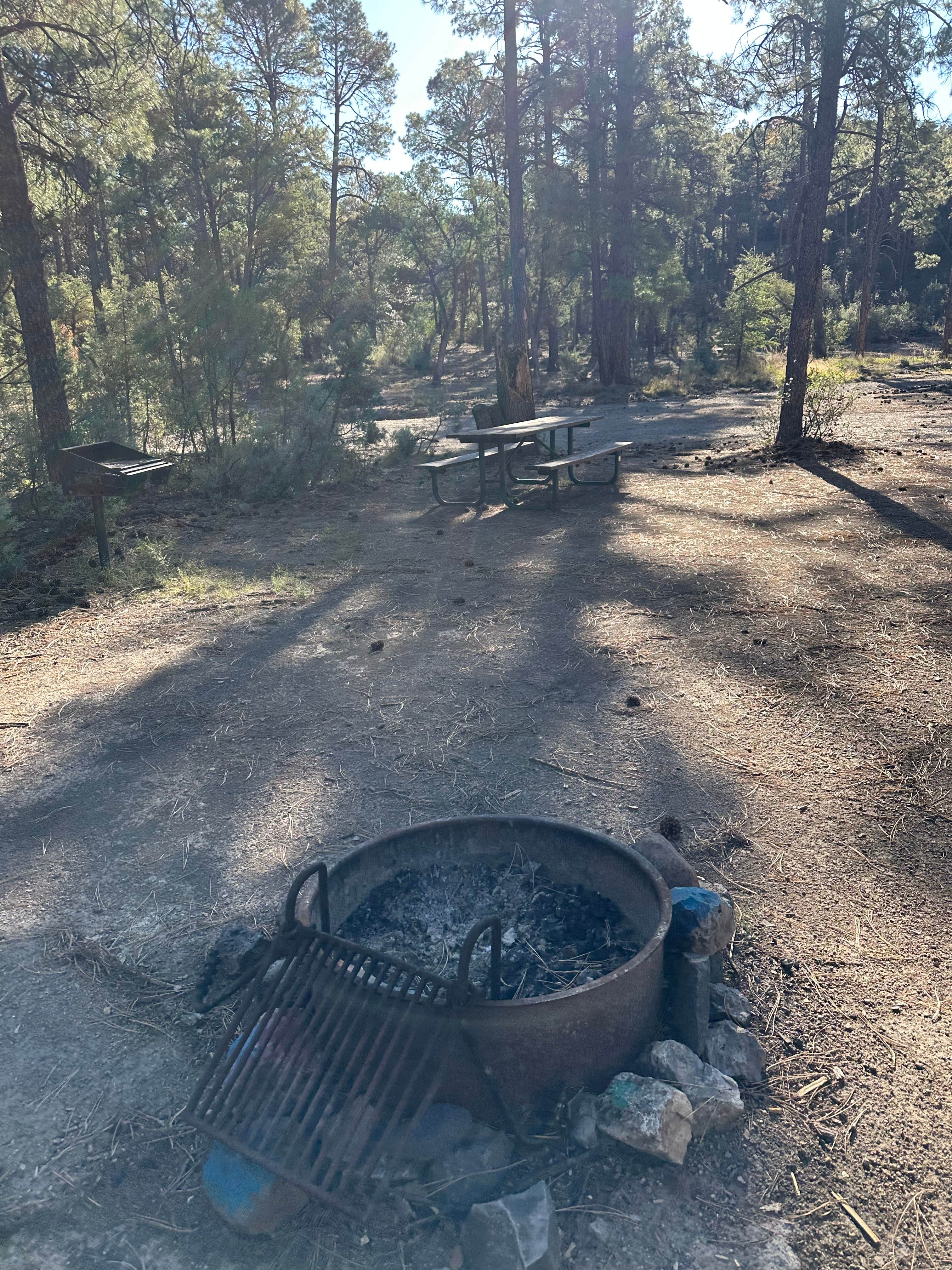Alisa P.'s photo at Black Jack Campground near Safford, AZ