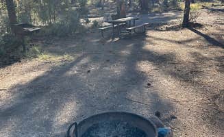 Alisa P.'s photo at Black Jack Campground near Duncan, AZ