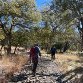 Review photo of Bog Springs Campground by Pedro G., April 3, 2024