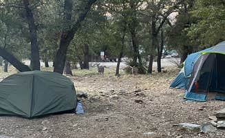 Pedro G.'s photo at Bog Springs Campground near Nogales, AZ