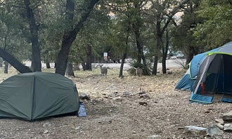 Camping near Sunflower Campground : Bog Springs Campground, Amado, Arizona
