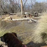 Review photo of Bog Springs Campground by Pedro G., April 3, 2024