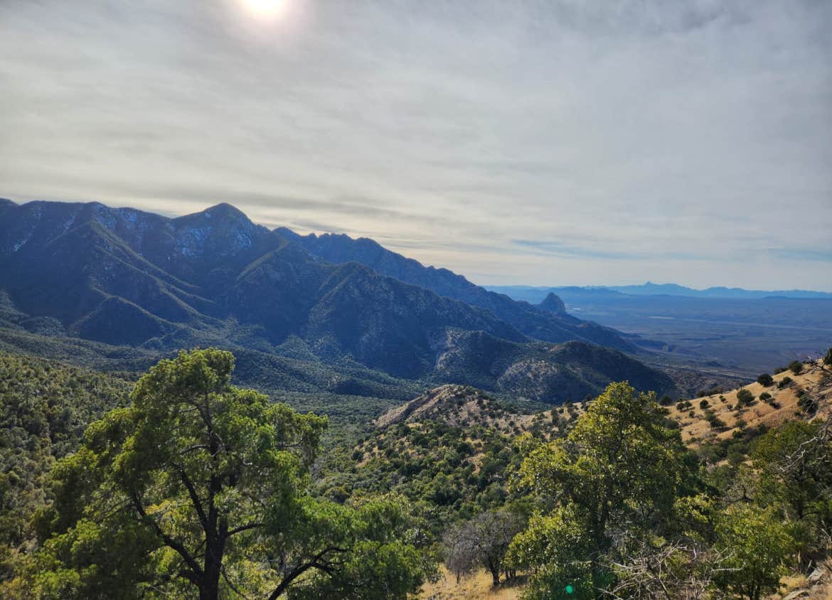 Camper-submitted photo at Bog Springs Campground near Nogales, AZ