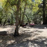 Review photo of Bonita Canyon Campground — Chiricahua National Monument by Roger W., May 4, 2024