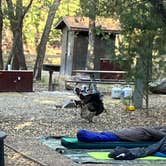 Review photo of Bonita Canyon Campground — Chiricahua National Monument by Roger W., May 4, 2024