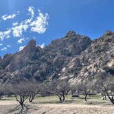 Review photo of Bonita Canyon Campground — Chiricahua National Monument by Joel R., March 19, 2024