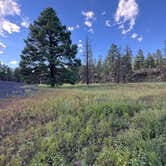 Review photo of Bonito Campground — Sunset Crater National Monument by Kristen D., September 15, 2026