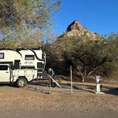 Review photo of Buckskin Mountain State Park Campground by Ursula , February 9, 2026
