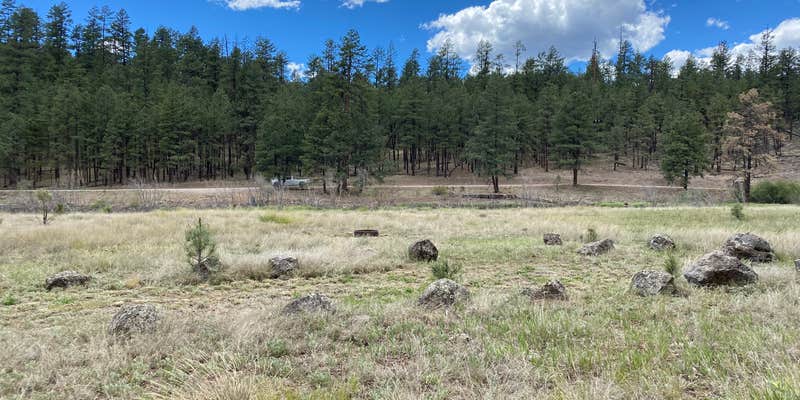 Camper submitted image from Buffalo Crossing Campground